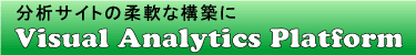 Visual Analytics Platform