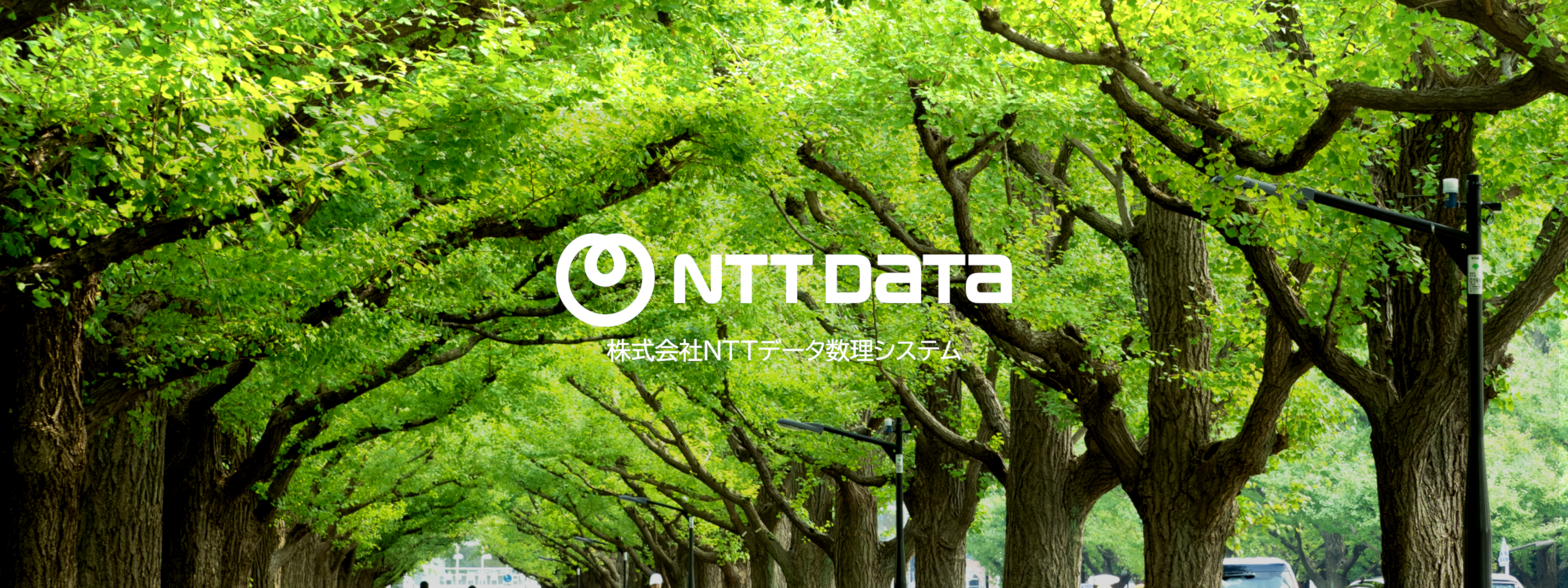 新卒採用｜株式会社NTTデータ数理システム